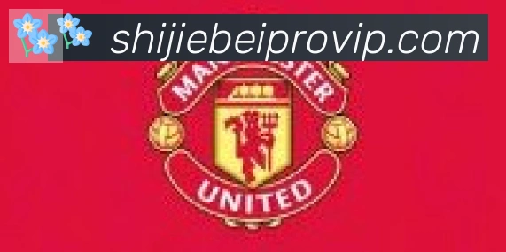 2026世界杯资讯官方网站合作伙伴